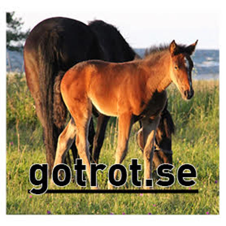 gotrot.se