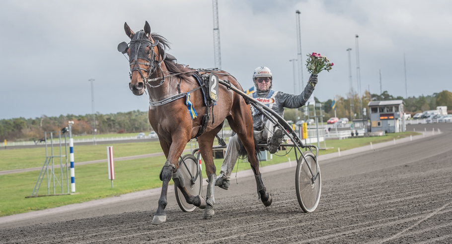 Årets segerrikaste häst på Visbytravet är Bugatti Veyron som tränas och ägs av Thomas Jonsson. 
