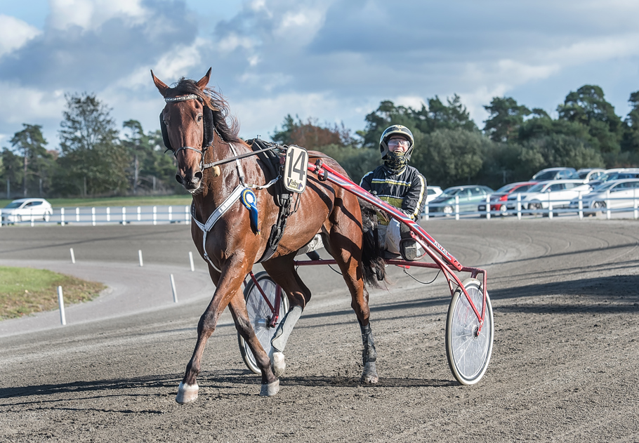 Årets damchampion är Eva Lundahl.