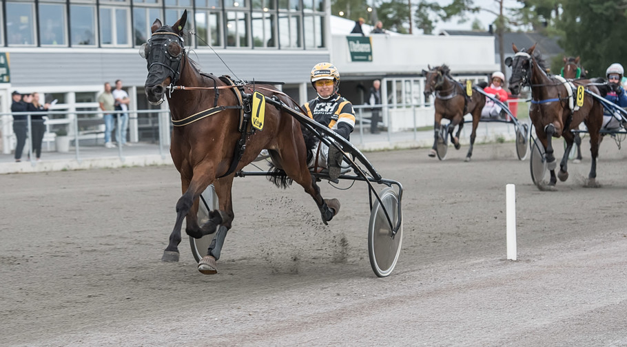 Årets kuskchampion med B/K-licens är Martin Malmqvist