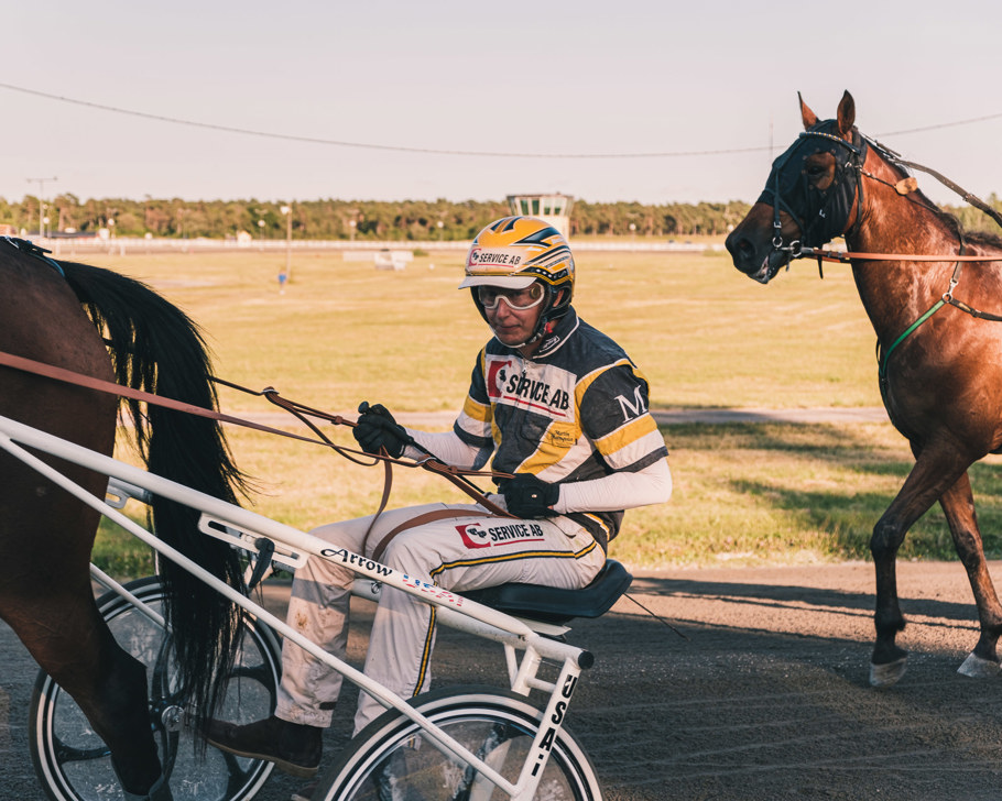 Årets kuskchampion med B/K-licens är Martin Malmqvist