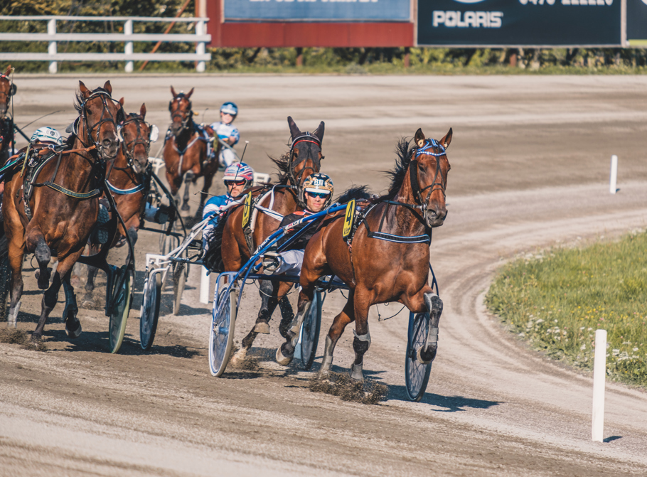 Årets segerrikaste häst på Visbytravet 2021 Stojweiler One