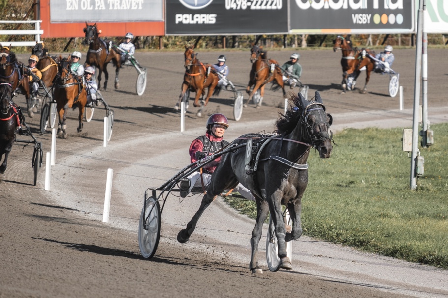 Årets segerrikaste B-tränade häst på Visbytravet 2021 Marjons Sleipner