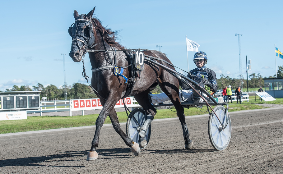 Kuskchampion B/K licens Årets kuskchampion med B/K-licens är Christian Cracchiolo, som under året gjort 98 starter varav 11 är segrar. Han har kört in 566 700 kr på Skrubbsovalen.