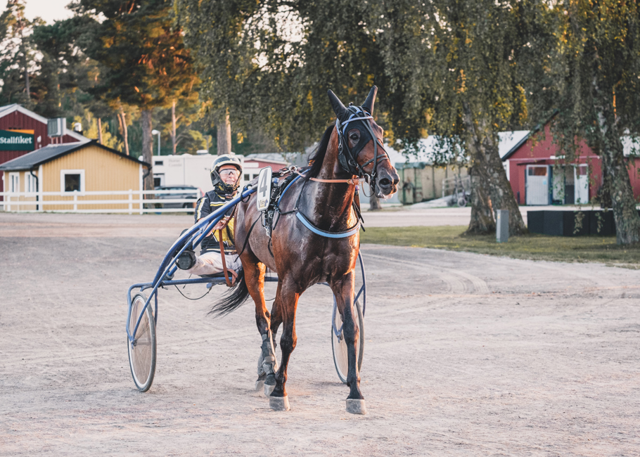 Damchampion Årets damchampion är Eva Lundahl. Hon har 134 starter på hemmaplan varav 7 segrar. Detta har resulterat 670 450 kr inkört.