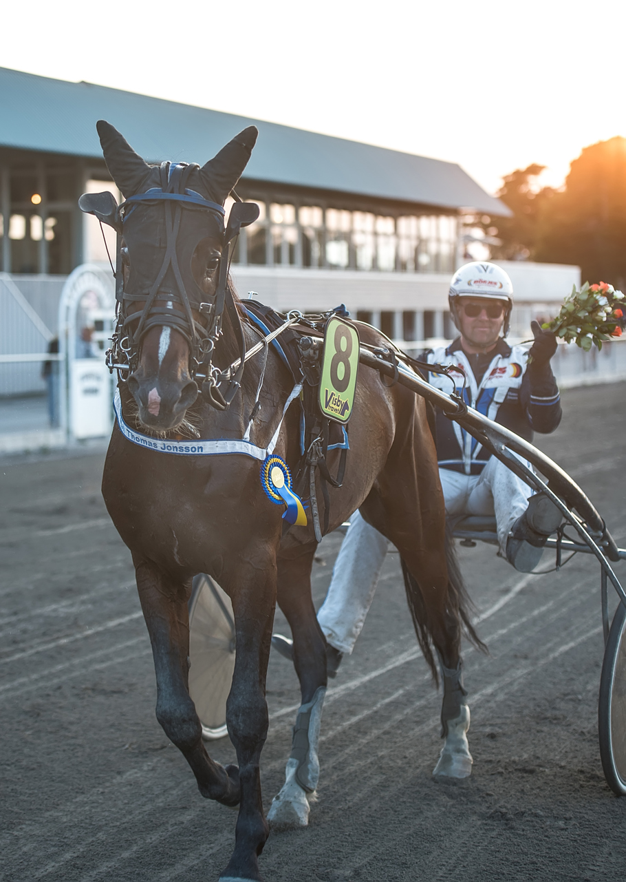 Tränarchampion Årets tränarchampion är Thomas Jonsson. Stallet har under året gjort 202 starter på Visbytravet varav 22 slutade med seger. Stallet har kört in 1 347 800 kr på Visbytravet