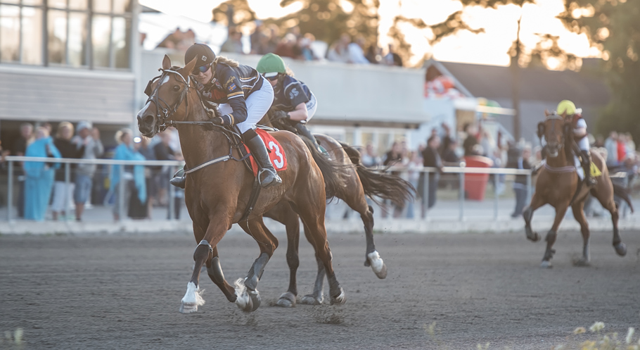 Montéchampion Årets montéchampion är Jennifer Persson. Jennifer har under året tagit 1 seger, 2 andraplatser och 1 tredjeplats på Skrubbs under året. Totalt inridet är 36 000 kronor på Skrubbs.
